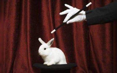 Rabbit Out of a Hat – What It Is