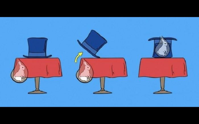 Rabbit Out of a Hat – Anatomy of the Illusion