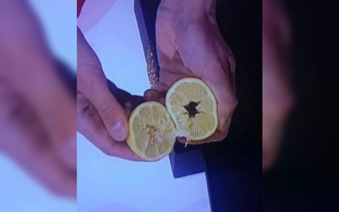 Note from a Lemon – Anatomy of the Illusion