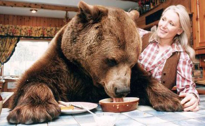 A photo of Maggie feeding the bear.