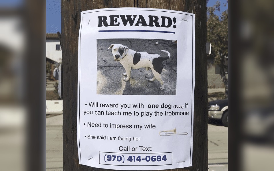 A Street sign that reads "Reward" for finding a dog