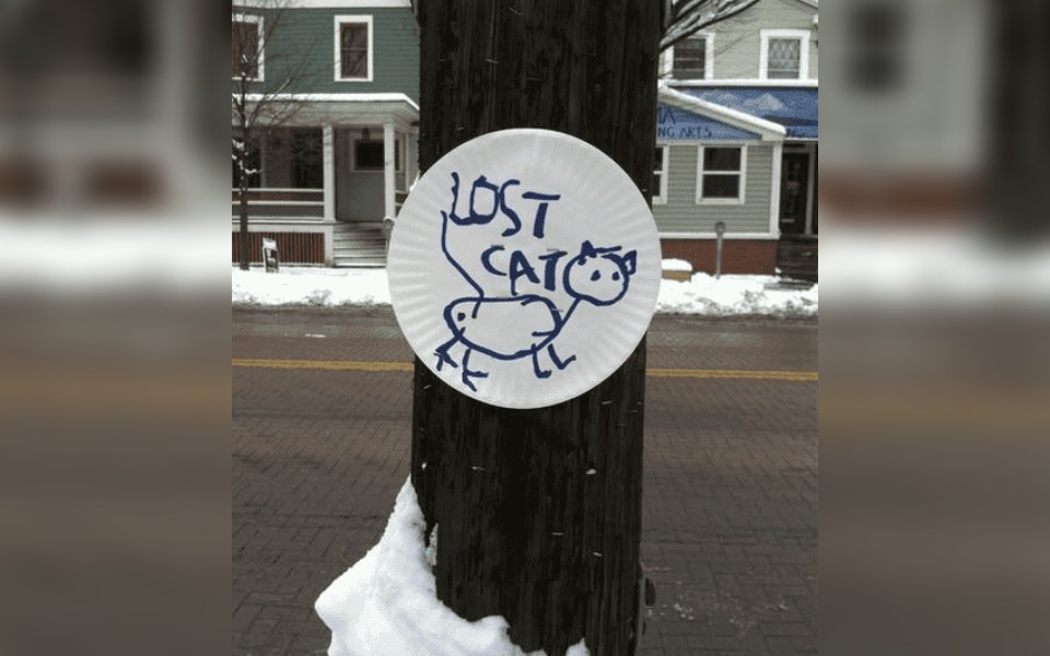 a Hand drown street poster of a lost cat