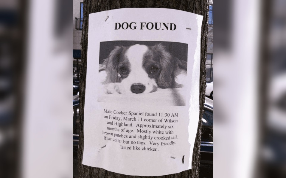 A street poster that reads "Dog Found"