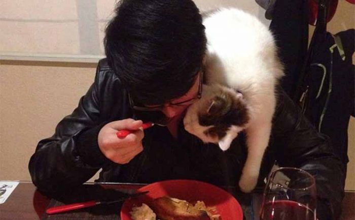 A person eating dinner while a cat sits on their shoulder intensely watching them eat 