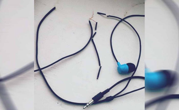 A pair of headphones chewed up and broken into a bunch of pieces 