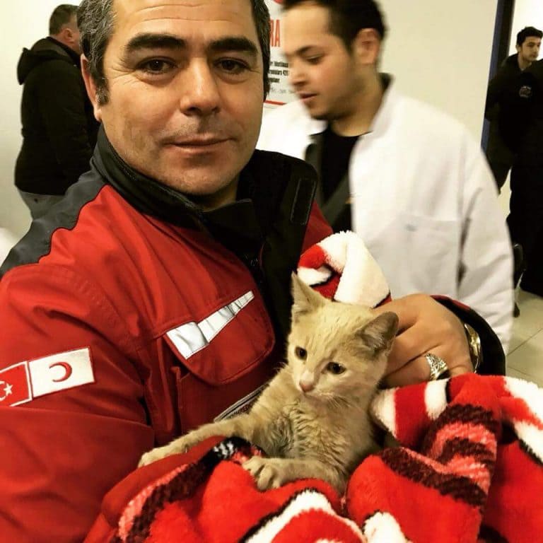 Rescue worker holding the cat