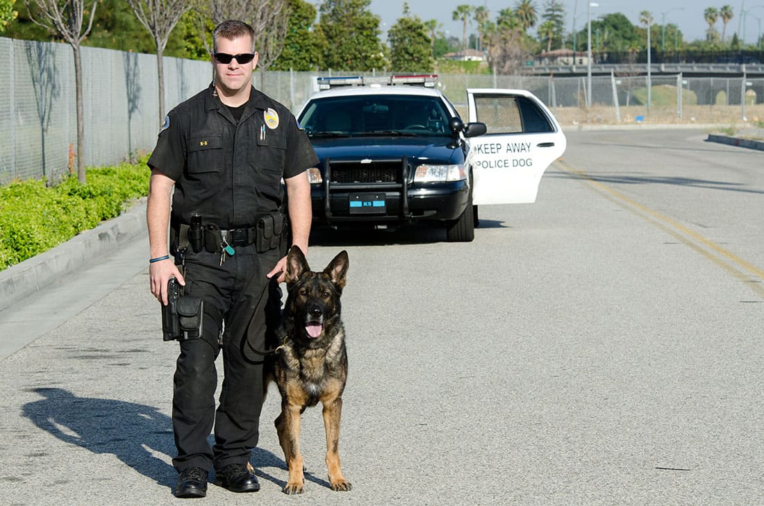 A K9 police officer