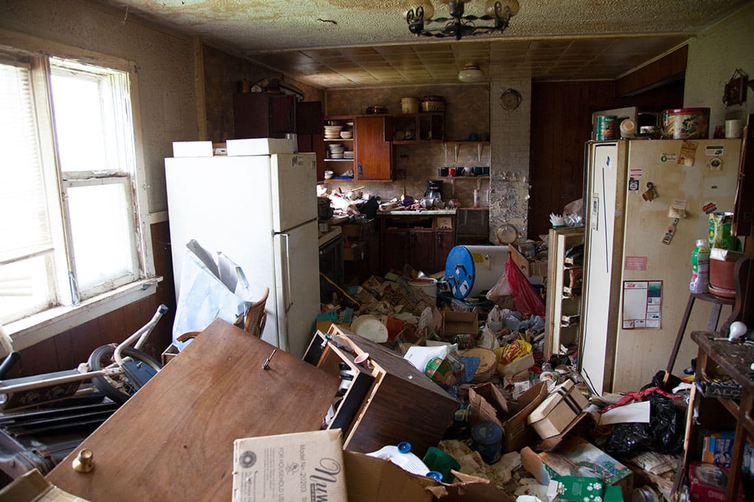 domestic kitchen of an abandoned house.