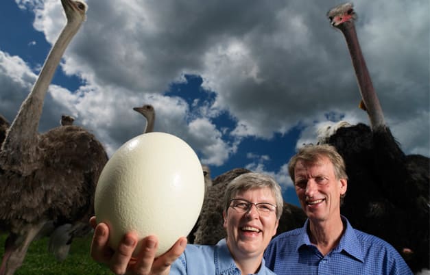 Gunnar and Kerstin Sahlin