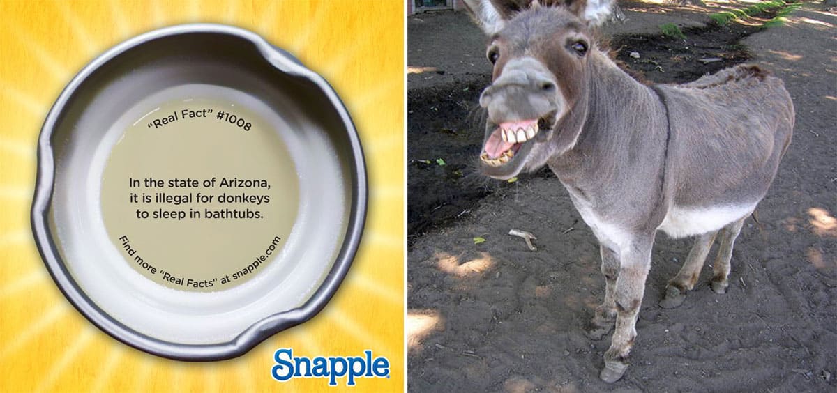 Donkey Snapple fact 