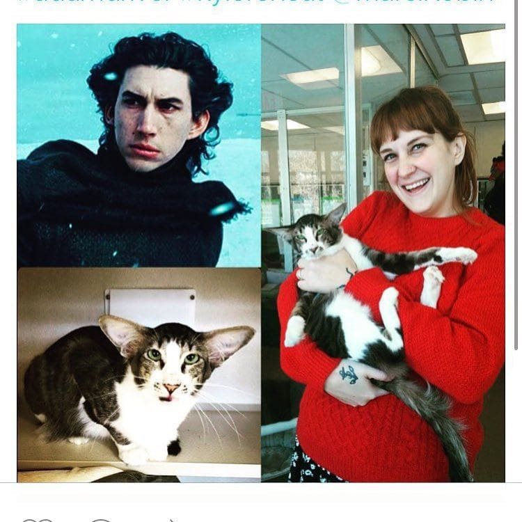 Instagram post of Adam Driver and a cat that looks like him