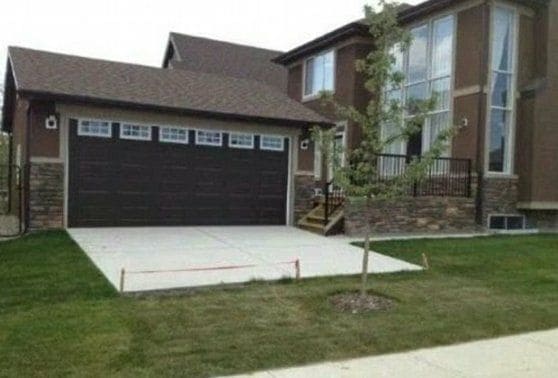 tree in the middle of the driveway
