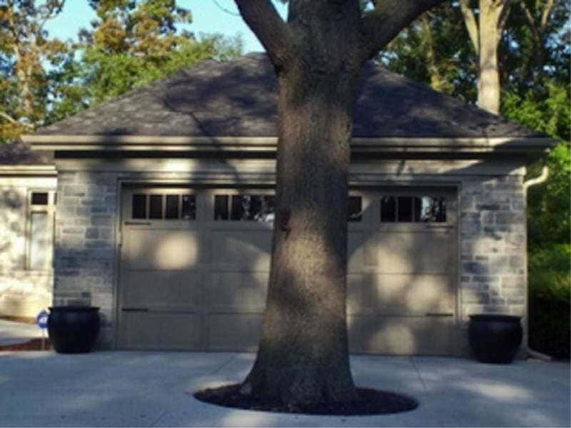 A tree blocking entrance to a garage