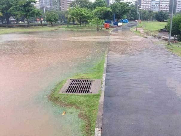 grate elevated from the ground not allowing water to flow into it