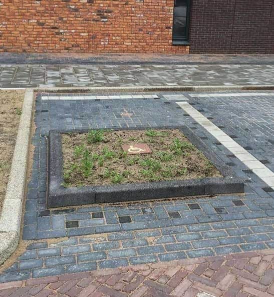 A mini garden used as a space for disabled people's car