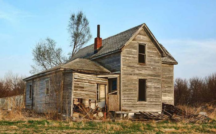 A photograph of an old run down house in the middle of an overgrown patch of land