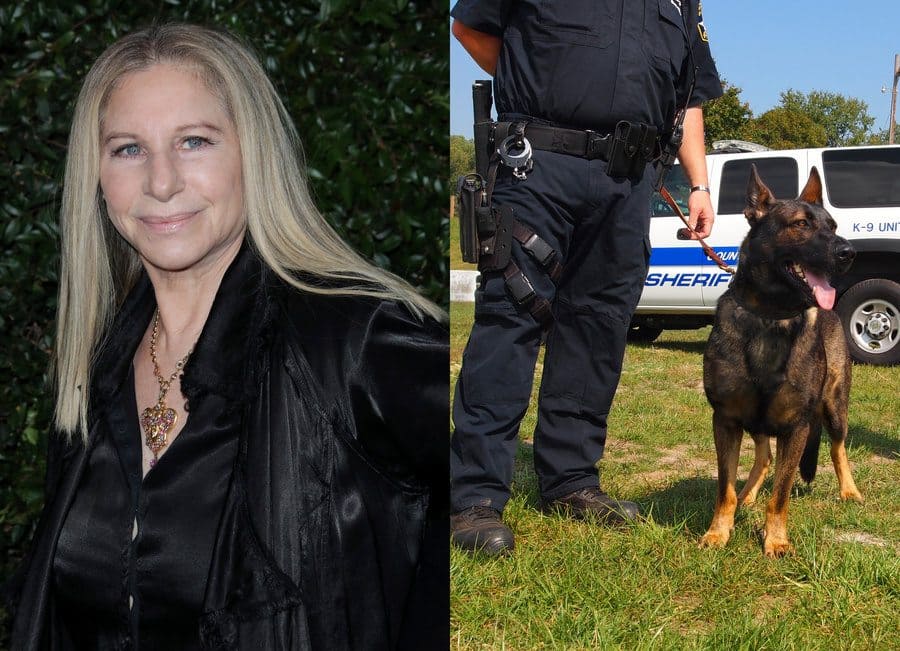 Barbra Streisand at an event in 2018. / A police K-9 unit.