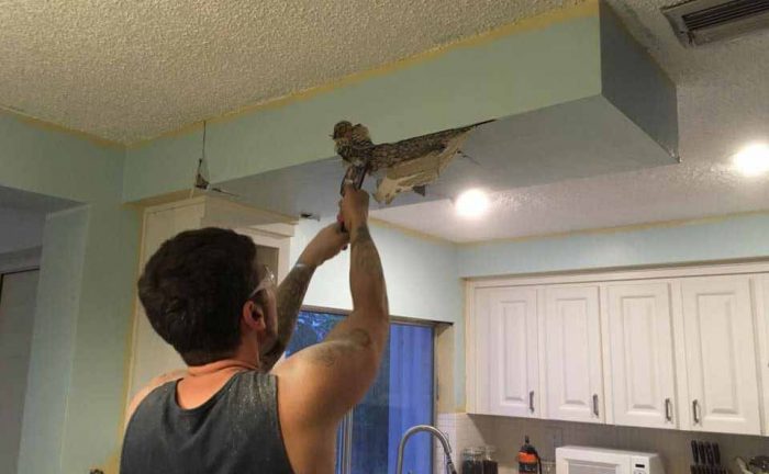 Bobby Kapsidis breaking the kitchen ceiling
