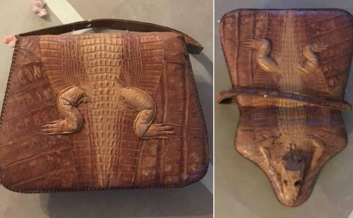 alligator purse; front and back images
