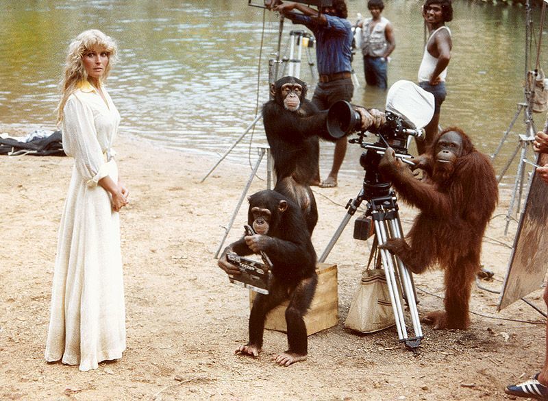 Bo Derek on the set of Tarzan with gorillas behind the camera and her standing in a long white dress. 