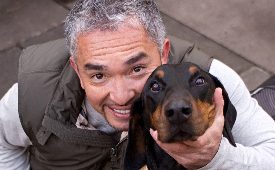 Cesar Millan with one of the dogs he walks 
