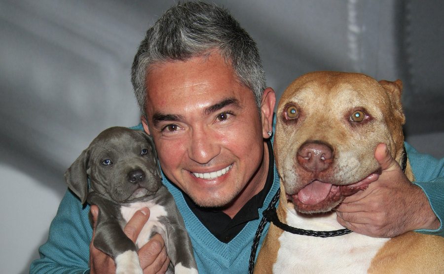 Cesar Millan posing with two dogs 