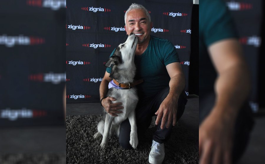 Cesar Millan receiving a kiss from a Huskey dog 