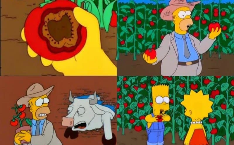 Screenshots of the mutant tomatoes from ‘The Simpsons’ 