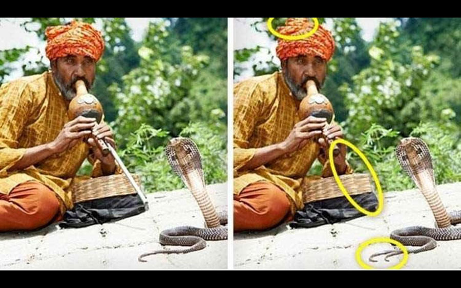 Snake Charmer with circles highlighting differences from the original image