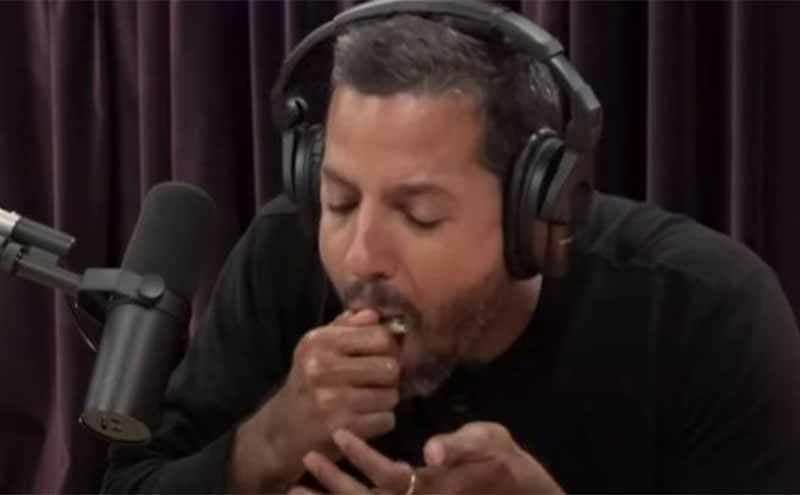 David Blaine with a frog sticking out of his mouth 