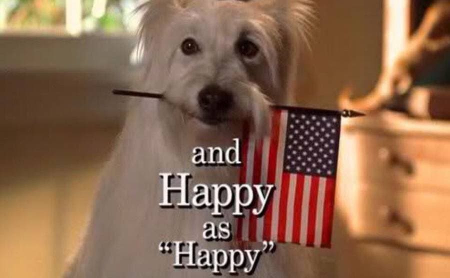 Happy’s opening credit on 7th Heaven with him sitting in the hallway with an American flag in his mouth 