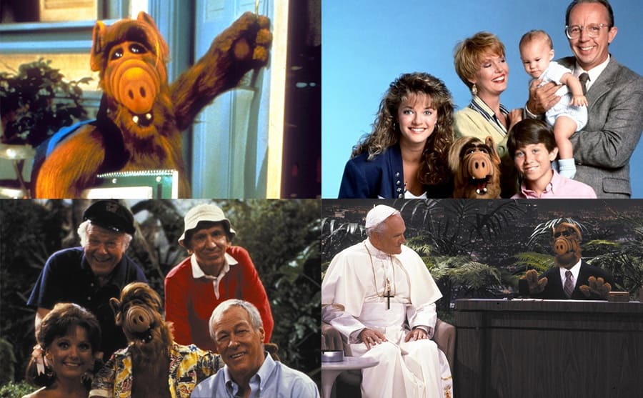 ALF with schoolbooks opening a door / A promotional shot of the Tanner family from ALF / ALF interviewing a pope on an episode of ALF / ALF with the cast of Gilligan’s Island 
