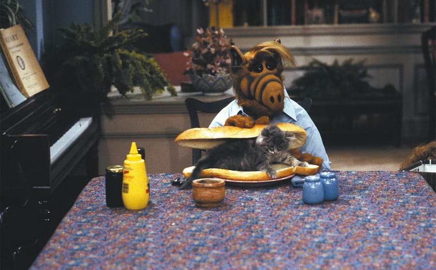 ALF sitting at a table with a cat inside of a long baguette in a scene from ALF