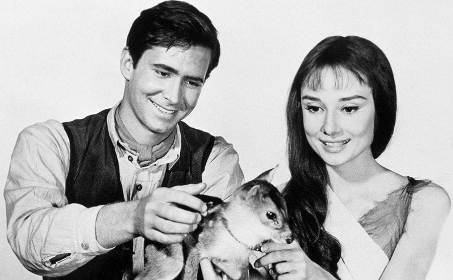Anthony Perkins and Audrey Hepburn petting their pet Pippin 
