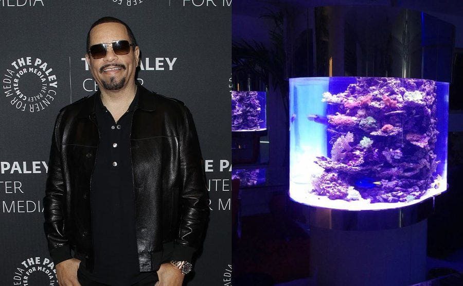 Ice T posing on the red carpet in 2019 / The in-house aquarium in Ice T and Coco’s home lit up in the dark room 