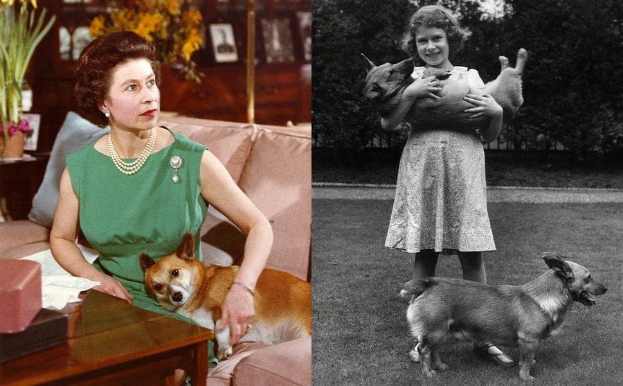 Queen Elizabeth II cozying up with her Corgi on the couch / Queen Elizabeth II as a young girl photographed playing with the family’s corgis 1936