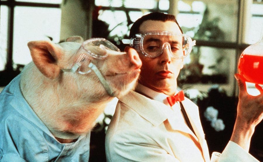 Pee Wee Herman in the science lab with a pig wearing a lab coat in a scene from Big Top Pee-Wee 1988