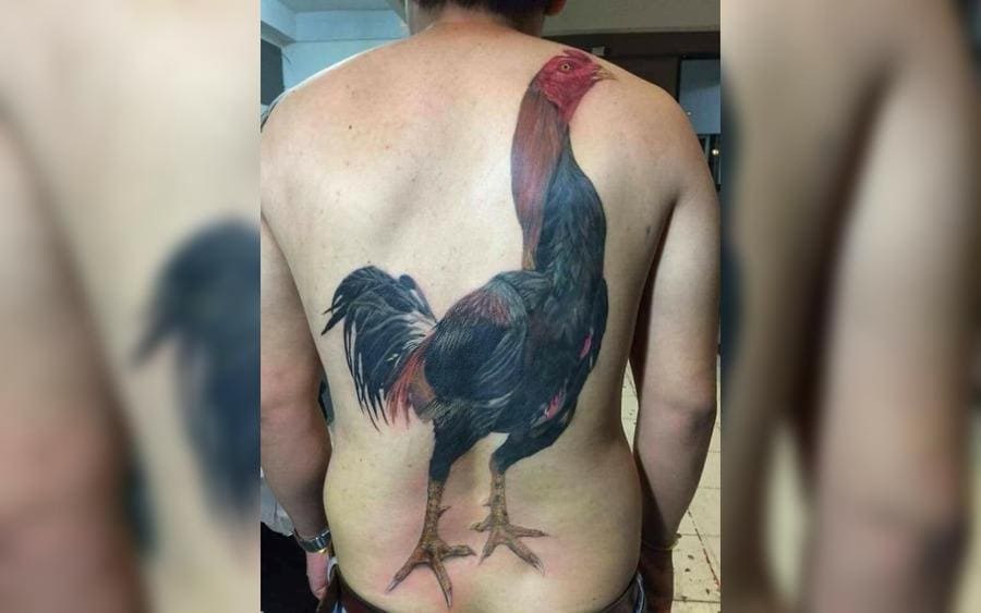 A tattoo of a rooster on a guy's back