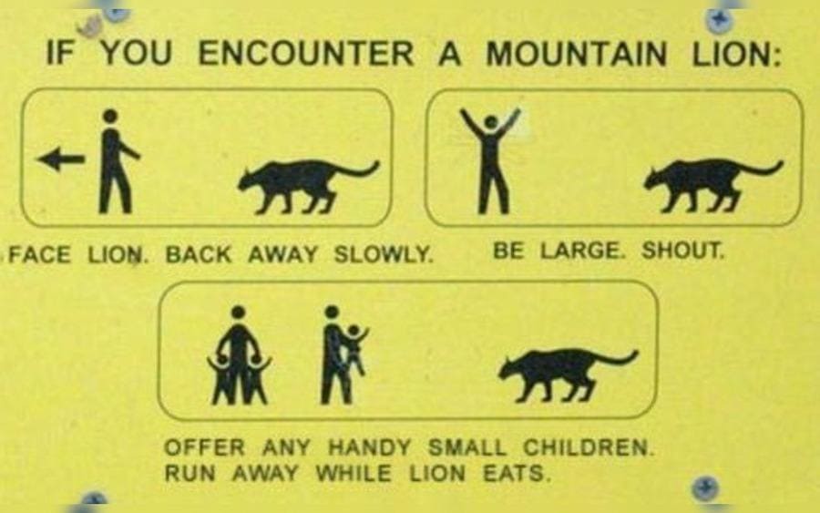 A sign warning from Lions and describe funny ways to avoid them