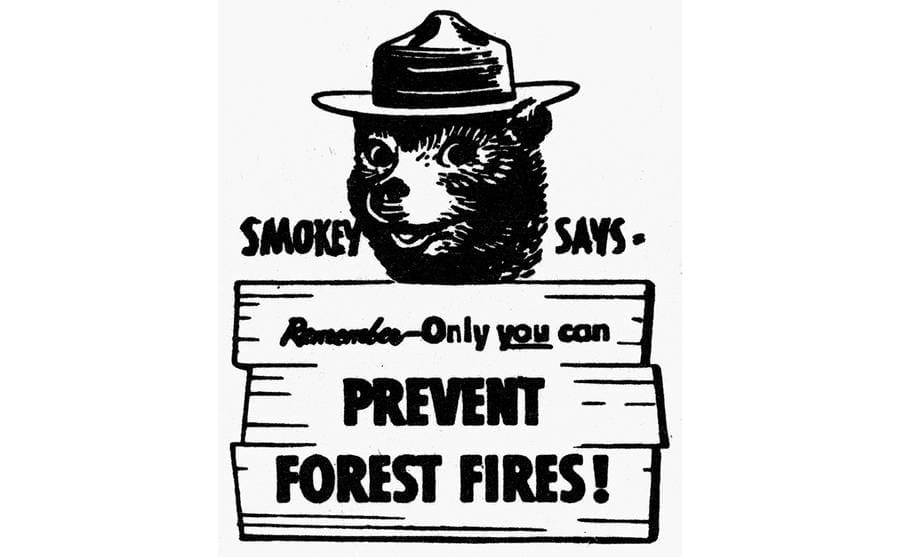 The US Forest service logo of Smokey Bear
