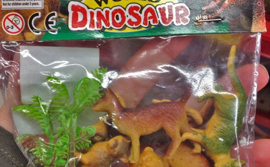 A child’s toy bag filled with what was supposed to be plastic dinosaurs but is, in fact, plastic cats and dogs.