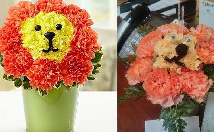 A sweet and pretty lion with a mane shaped bouquet you can order online/The lopsided bouquet that actually arrived sort of looks like a lion.