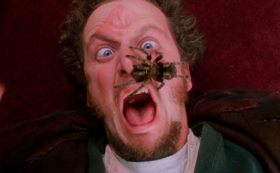 Daniel Stern looking scared with a tarantula on his face in a scene from Home Alone 