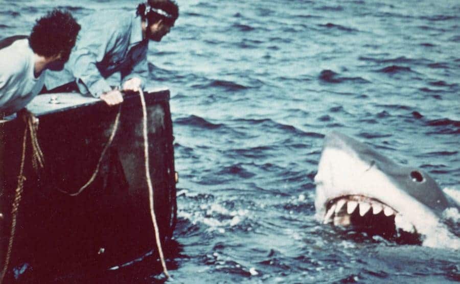 The terrifying approach of the giant mechanical shark dubbed 'Bruce' in a scene from the film 'Jaws' directed by Steven Spielberg, 1975.