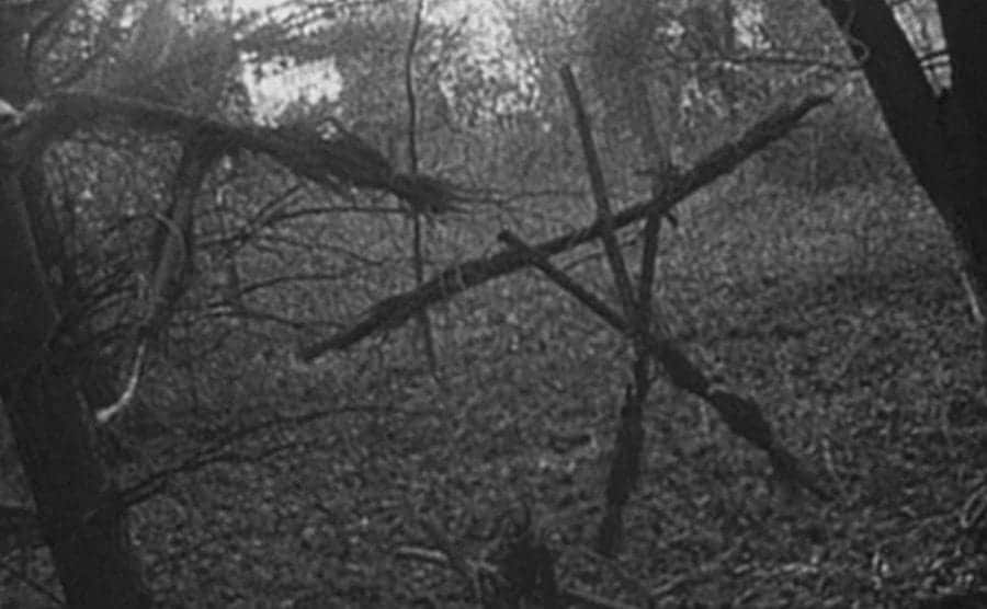 An eerie and large stick figure hanging in the woods.