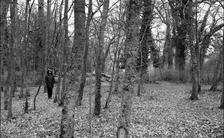 A view of someone walking in the Woods