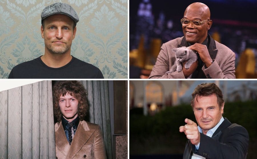 Woody Harrelson posing in front of a wallpapered wall / Samuel L Jackson holding a cat / David Bowie peeking out from behind a curtain / Liam Neeson pointing on the red carpet 