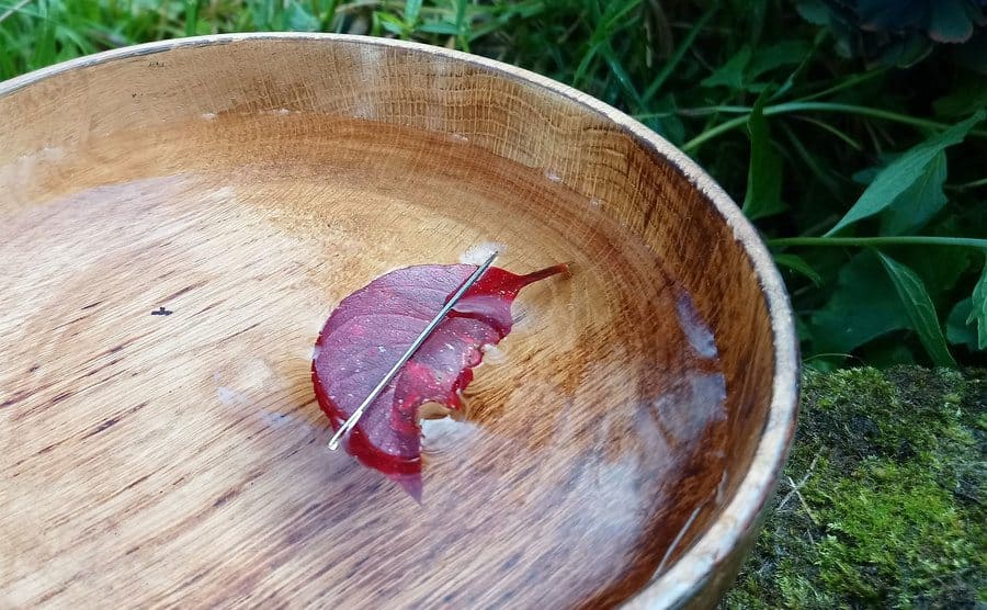 A leaf with a needle resting on it placed in a bowl of water. 