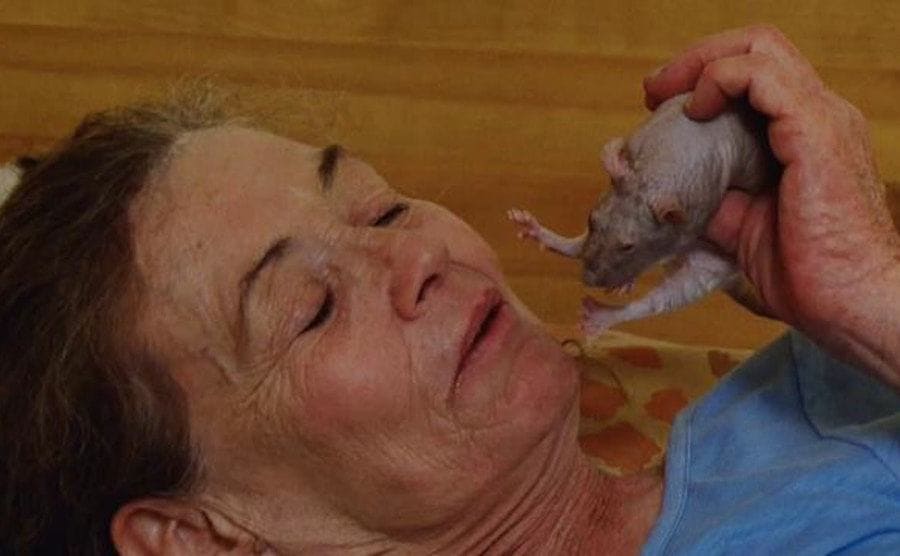 Teresa is holding up a hairless rat to her face. 