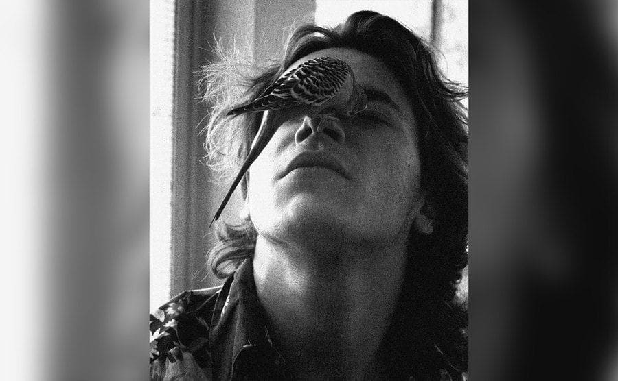 Actor River Phoenix poses for a photoshoot with a bird on his face at his residence in Florida, USA.